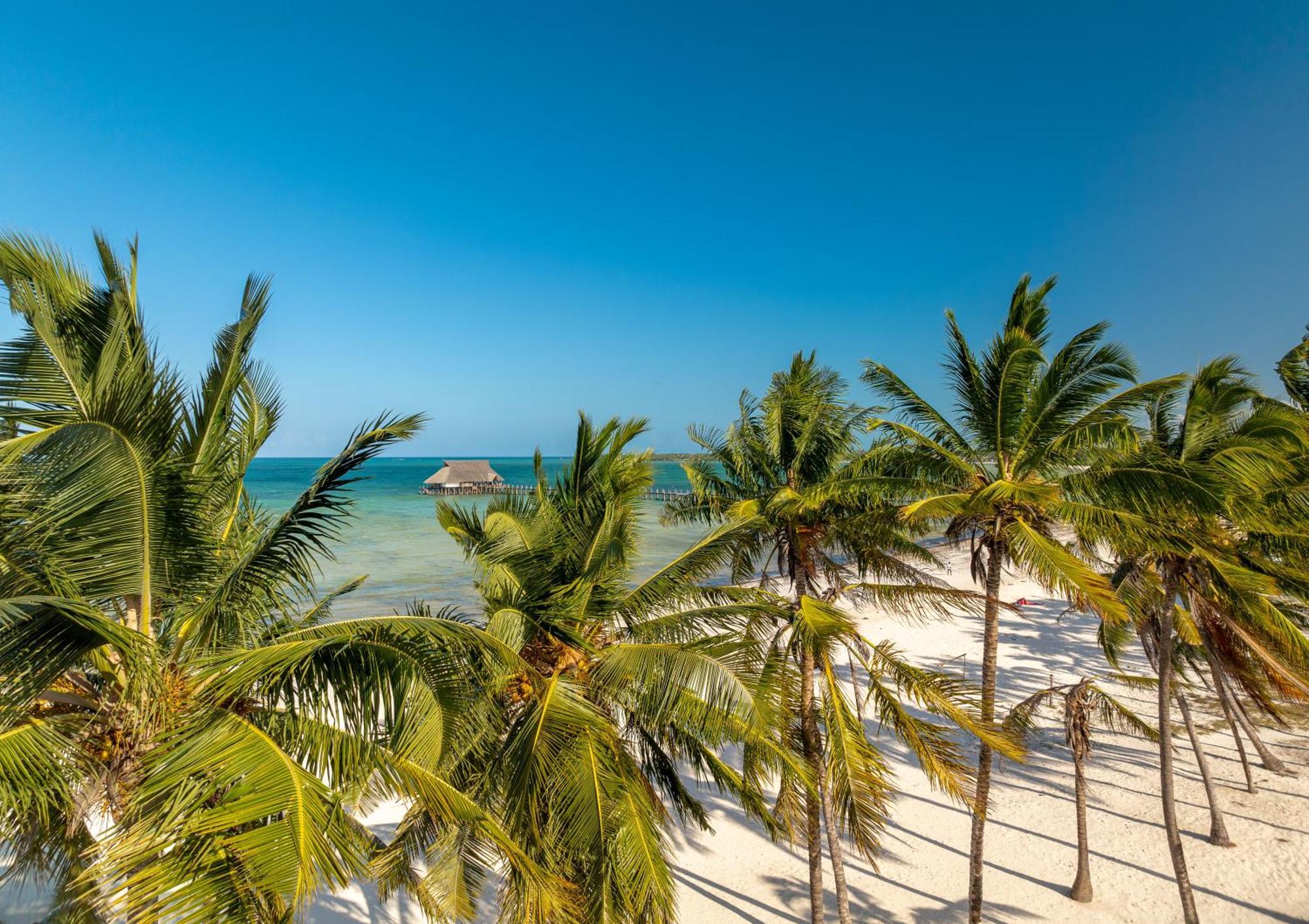 Karibu Beach Resort Pongwe Ngoại thất bức ảnh